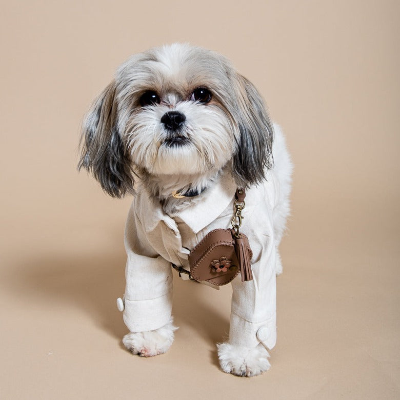 Guayabera shop for dogs