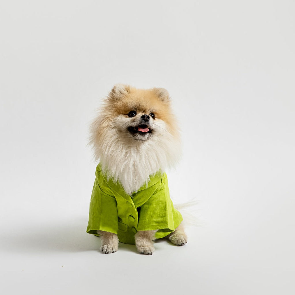 Lemonade Spritz Pet cheapest Blazer